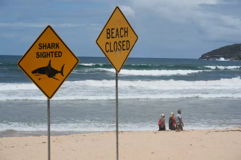 Fourth Shark Attack in 48 Hours Forces Dozens of Australian Beach Closures