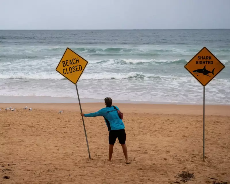 Fourth Shark Attack in Three Days Strikes NSW Coast, Surfer Hospitalised