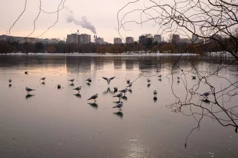 Freezing Rain Halts Flights and Trains Across Central Europe