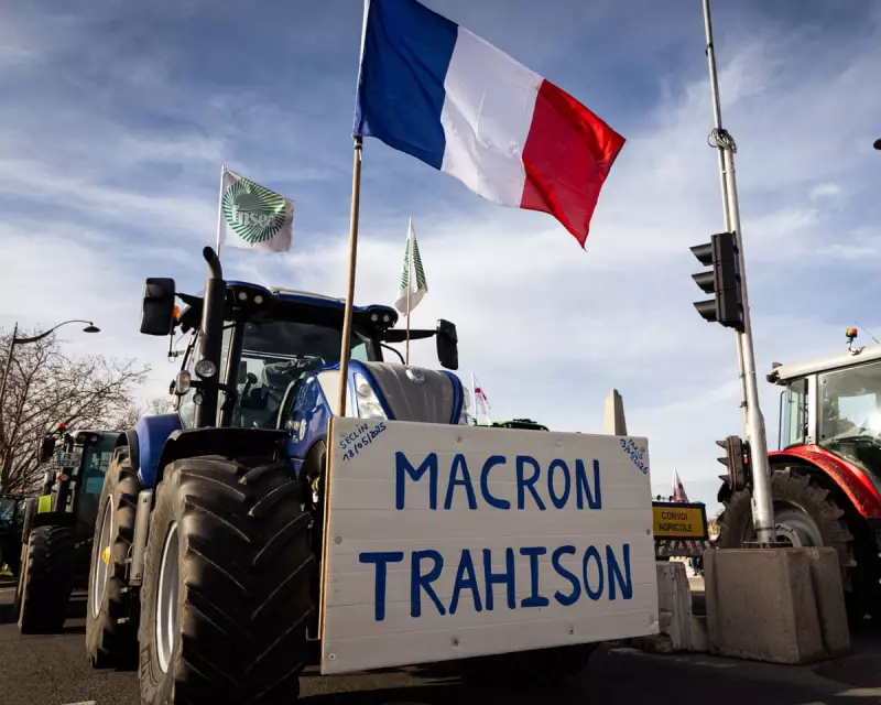 French Farmers' Mercosur Fury: How a Trade Deal Threatens EU Stability