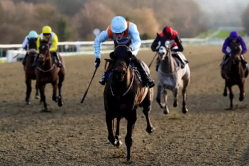 Friday's Horse Racing Tips: Expert Picks for Catterick and Wolverhampton