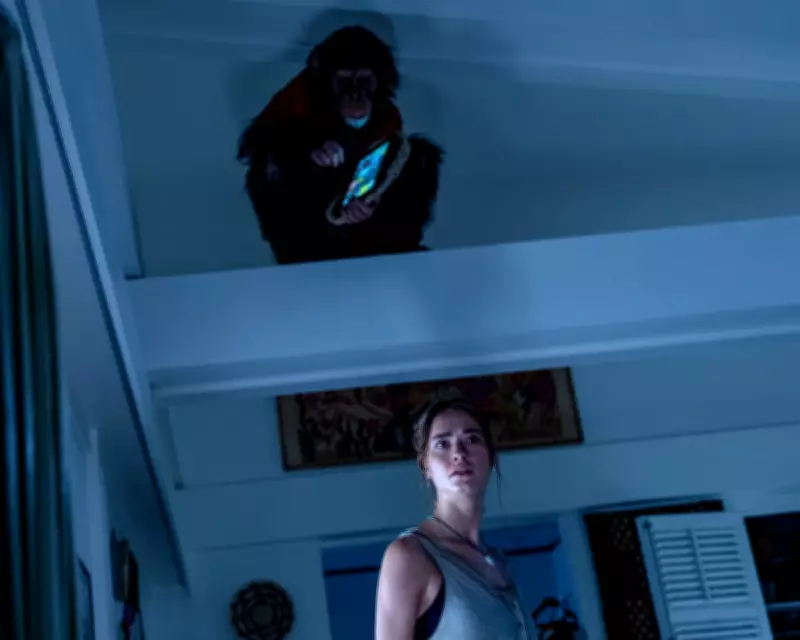 From Primate to Tyler Ballgame: The Week's Top Culture Picks