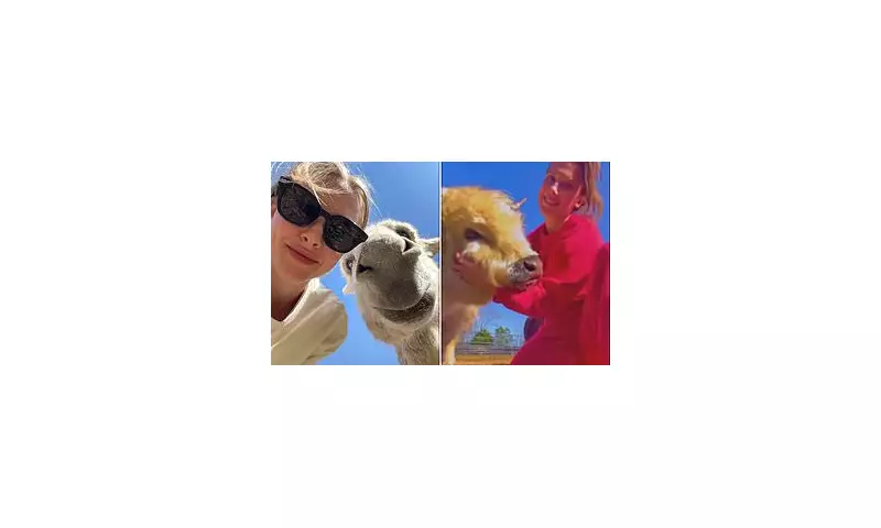 From Red Carpet to Farmyard: 8 Celebrities Who Swapped Hollywood Glamour for Country Life