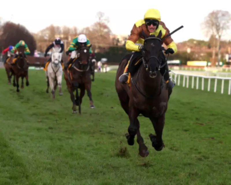 Galopin Des Champs Aims for Historic Fourth Irish Gold Cup Amid Weather Worries