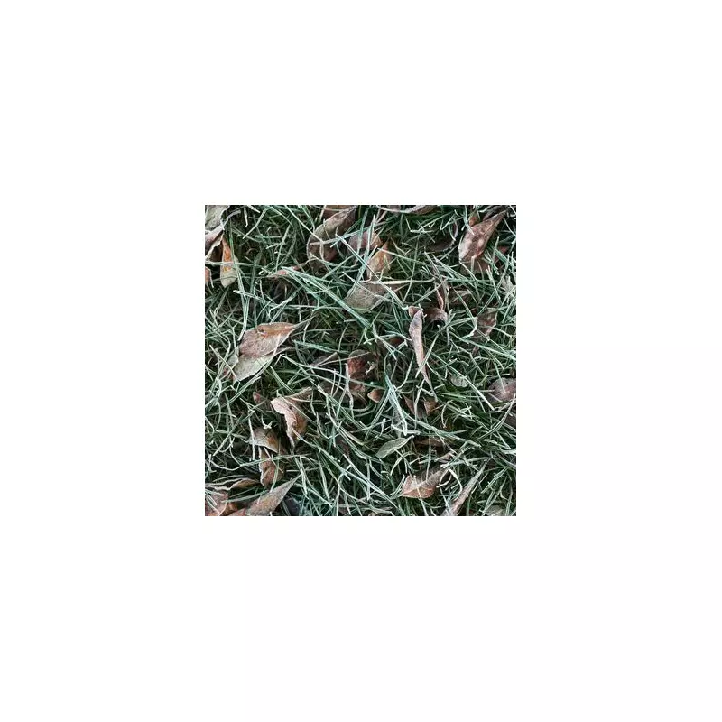 Gardeners Warned: One Winter Item Causes 'Serious Damage' to Lawns