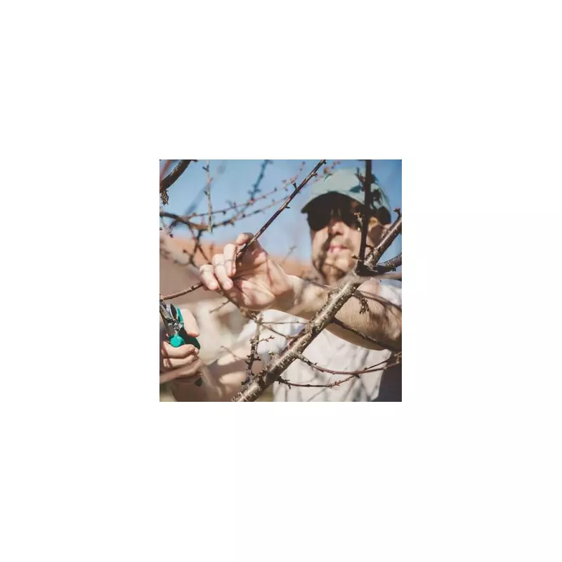 Gardening Expert Warns: Pruning These Plants in January Causes Long-Term Damage