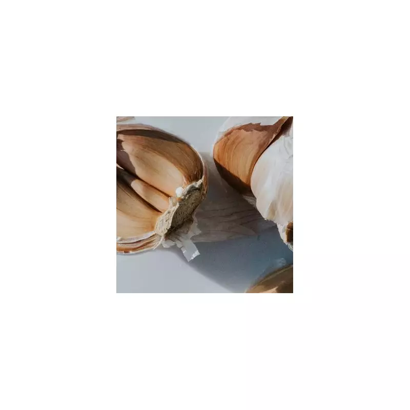 Garlic Bulbs: The Simple January Hack to Deter Rats and Slugs Naturally