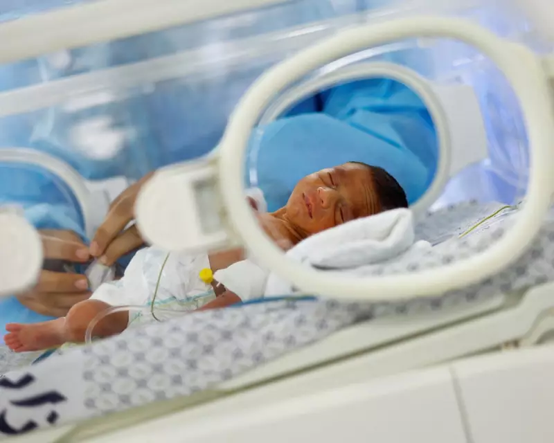 Gaza War Triggers 41% Drop in Births Amid Reproductive Violence Claims