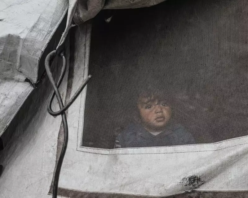 Gaza Winter Crisis Deepens as Israel Bans 37 Aid NGOs, UK Warns of Catastrophe