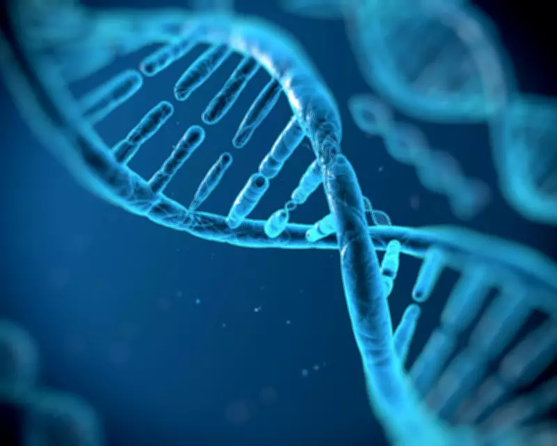 Genetics May Hold 50% of the Secret to Human Longevity, New Study Reveals