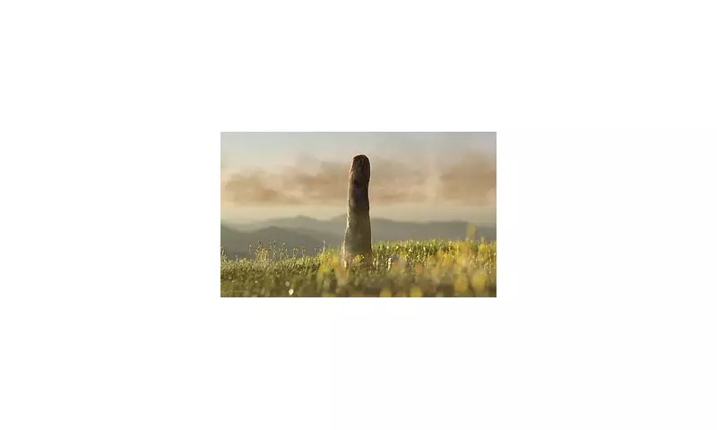 Giant 26ft Lifeform Discovered in Scotland Was Neither Plant Nor Fungus