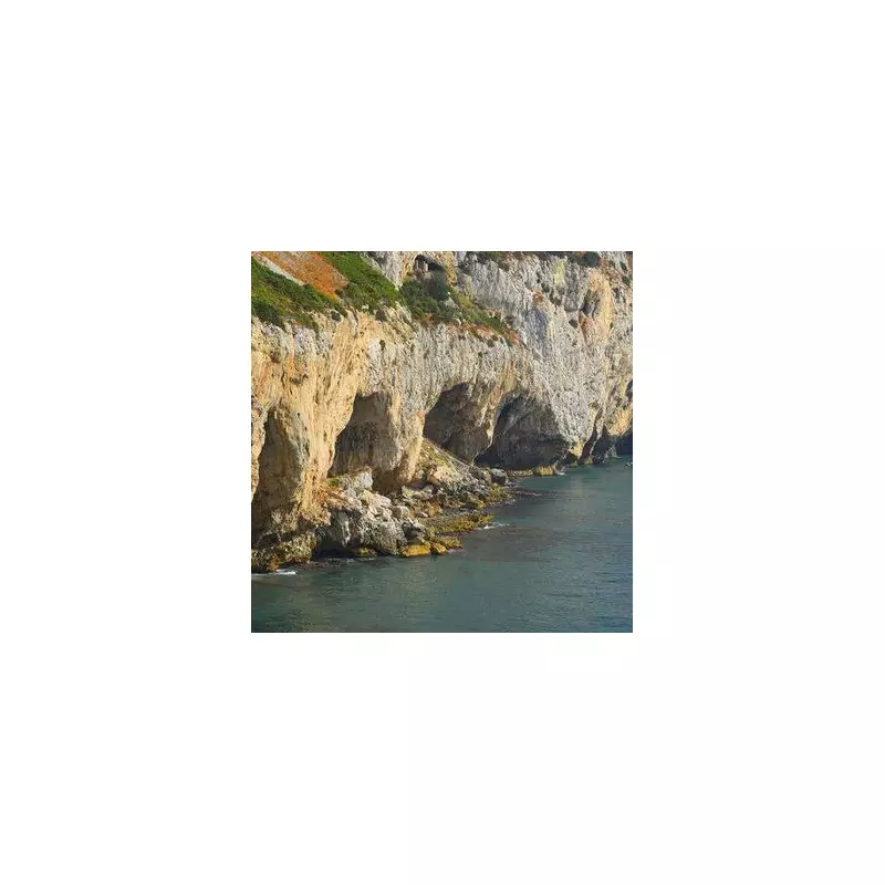 Gibraltar Cave Sealed for 40,000 Years Rewrites Neanderthal History