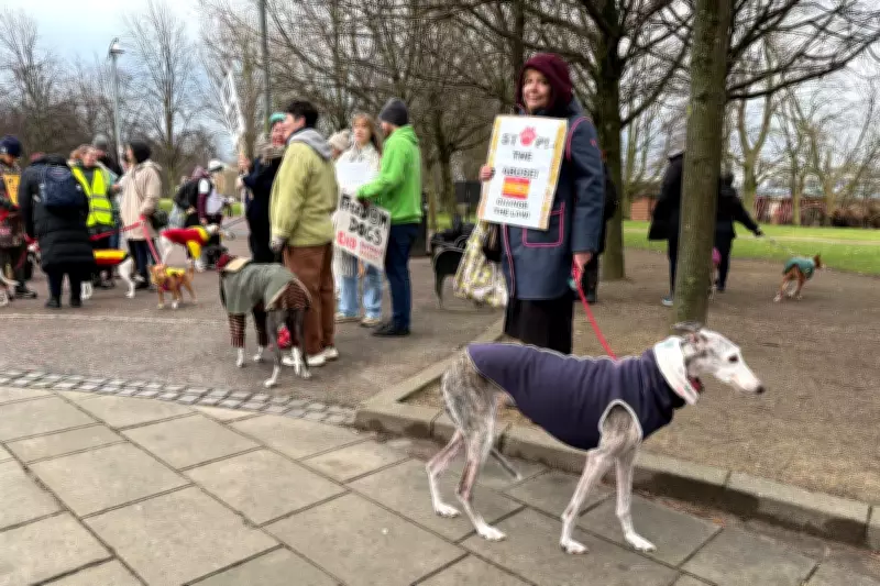Glasgow March Demands End to Spanish Hunting Dog Cruelty