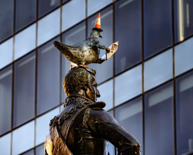 Glasgow's Cone-Headed Pigeon Sculpture Sparks Love Letters to Birds
