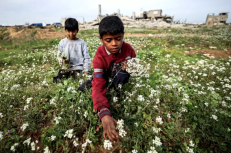 Global Lens: From Gaza to Melbourne, A Day in Pictures