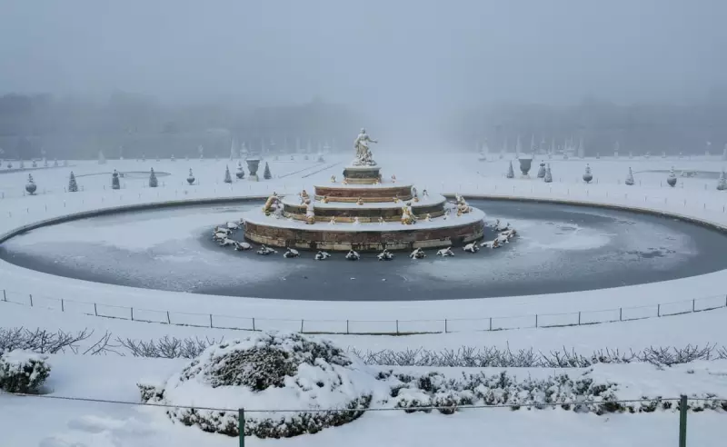 Global Snapshot: From Snowy Versailles to Penguin Counts in London