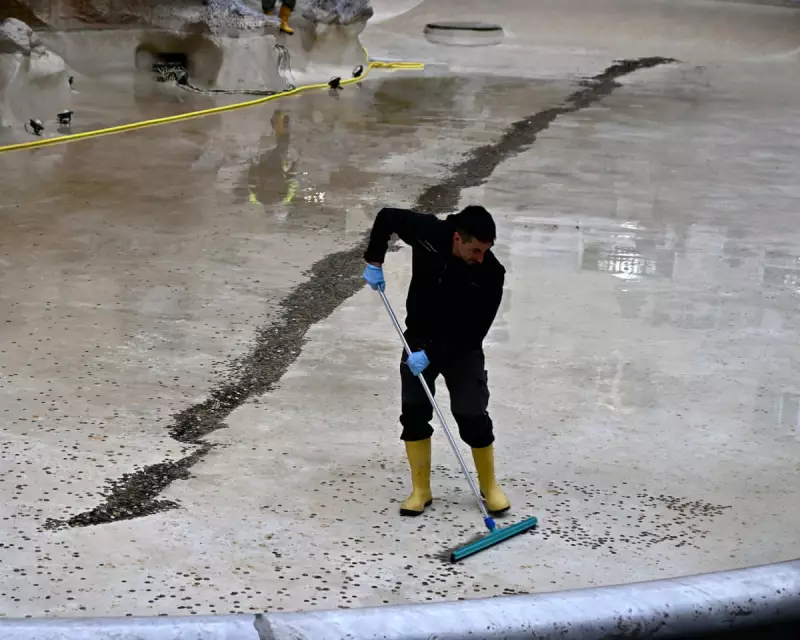 Global Snapshot: From Trevi Fountain Fees to Melbourne Heatwave