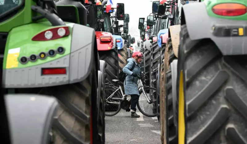 Global Snapshot: Trump's Arrival, Farmer Protests and Aurora Borealis