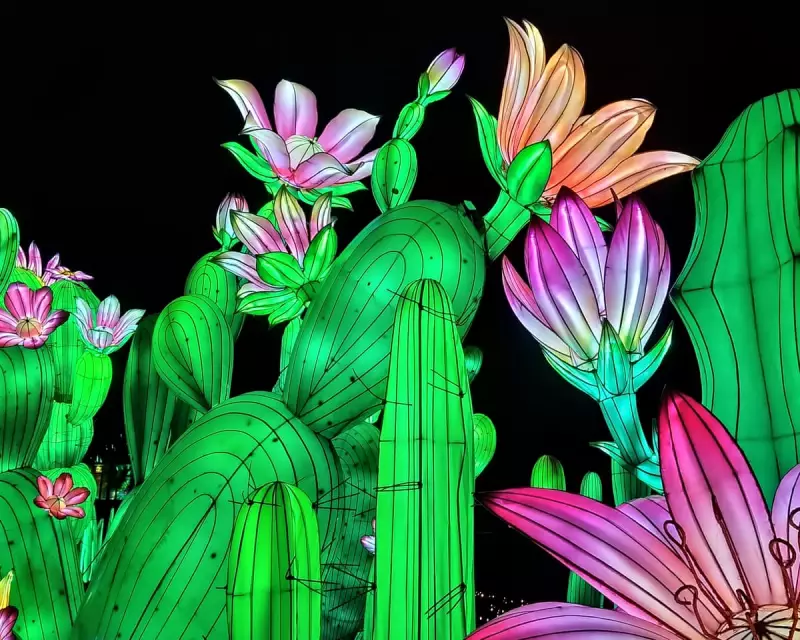 Guardian Readers' Stunning Photographs: From Lanterns to Parakeets