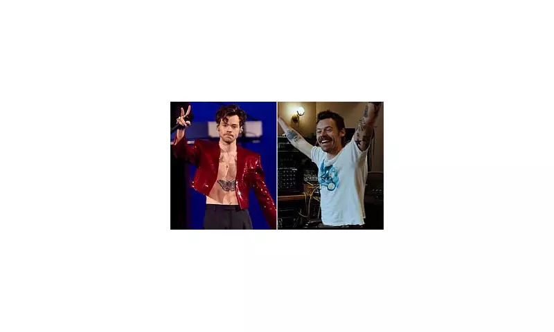 Harry Styles Faces Fan Fury Over 'Greedy' Ticket Prices for Together Tour