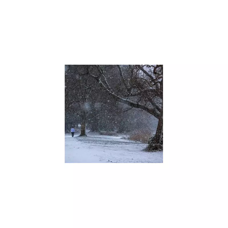 Heroic Father Saves Frozen Kitten During Snowy Family Walk