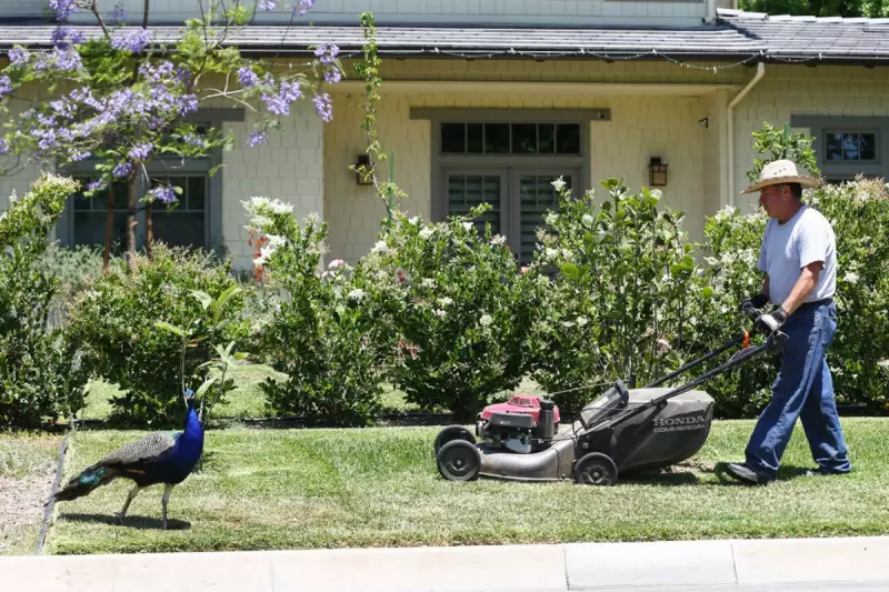 HOA Fees Now Affect Nearly Half of US Homes for Sale, Adding Financial Strain