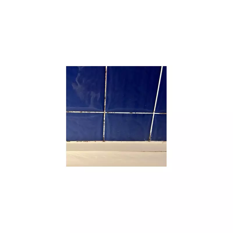 Home Bargains £1.39 Mould Spray Transforms Grout in Minutes