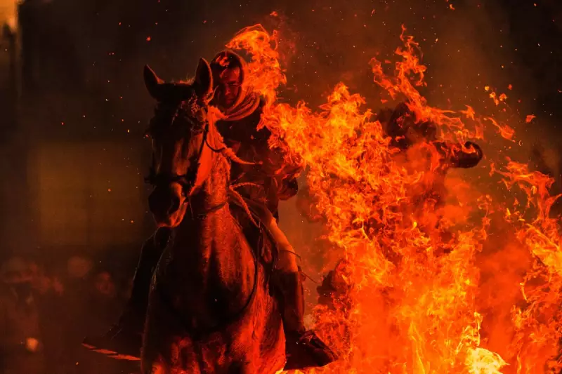 Horses Leap Through Flames in Spain's St. Anthony Animal Rituals