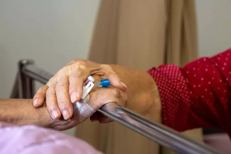 Hospice UK Chief Warns of Staff Exodus Over Assisted Dying Legislation
