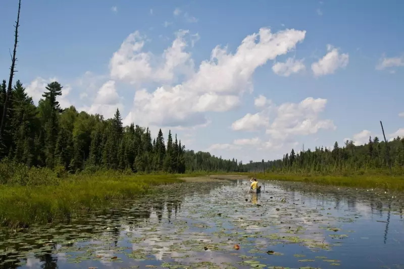 House Republicans Vote to End 20-Year Mining Ban Near Minnesota's Boundary Waters