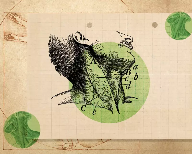 How Micro-Movements and Posture Breaks Can Ease Neck Tension