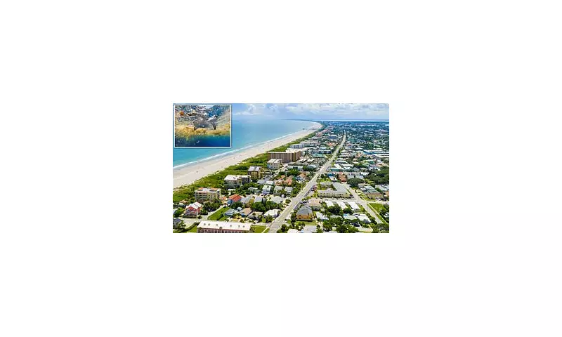 How Sea Turtles Became Unlikely Heroes in a Florida Town's Fight Against Developers