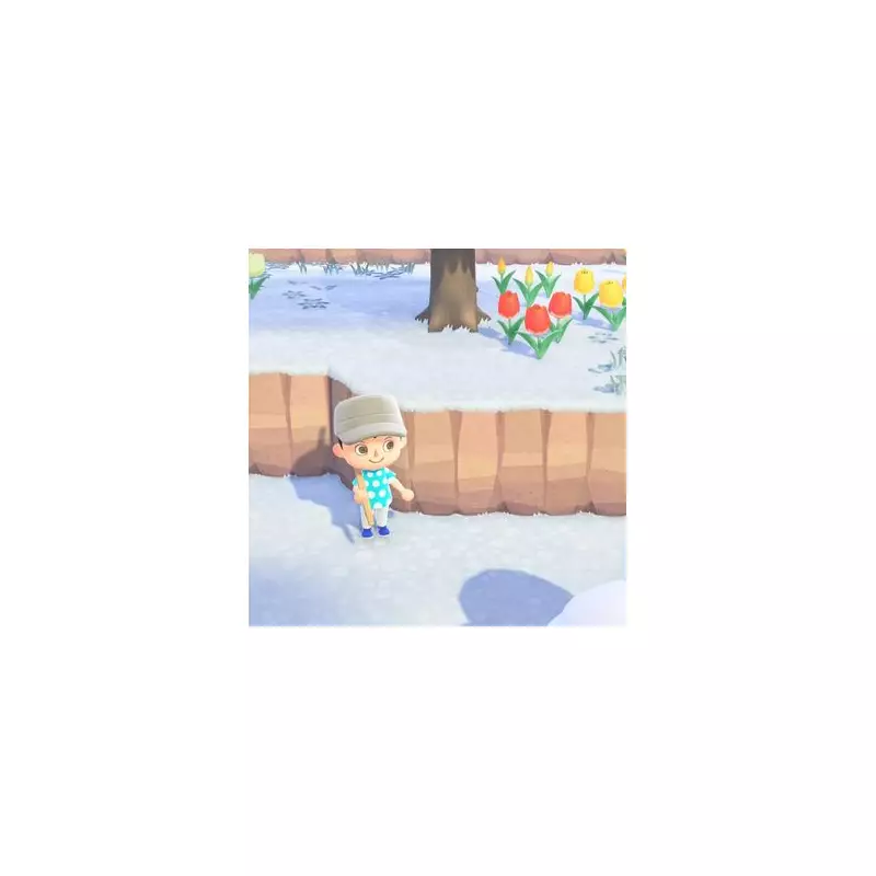 How to Get a Ladder in Animal Crossing New Horizons 3.0 Update