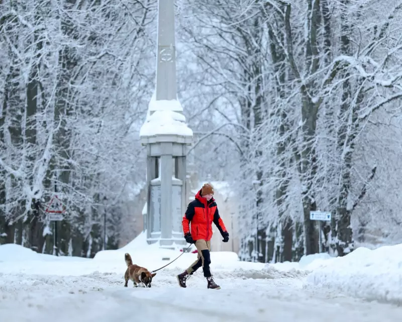 Hundreds of Schools Shut as Amber Snow Warning Hits Northern Scotland