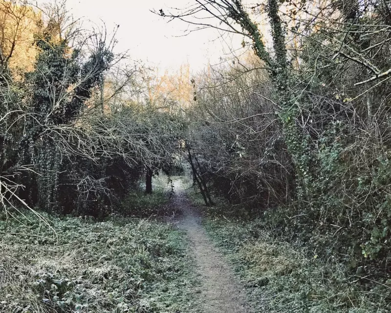 Ice Age Secrets Unearthed in Essex Gorge Amid Modern Clutter