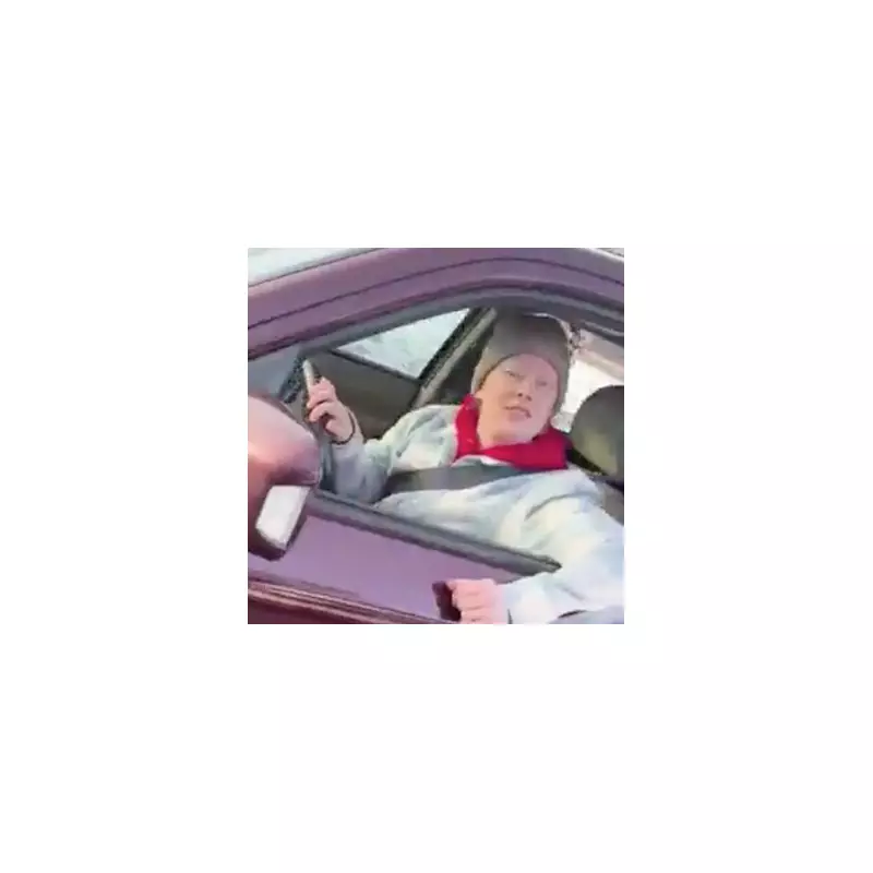 ICE Agent's Video Shows New Perspective on Minnesota Shooting of Renee Good