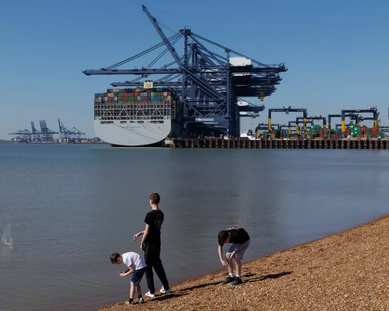 IMF Warns Trump Tariffs Threaten Global Growth and UK Economy