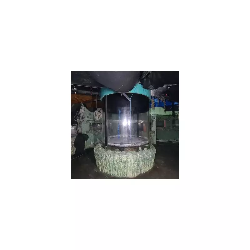 Inside the UK's First SeaLife Centre: Abandoned for Six Years with Tanks Still Full