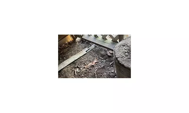 Internet Sleuths Solve Lost Wedding Ring Mystery in Seconds