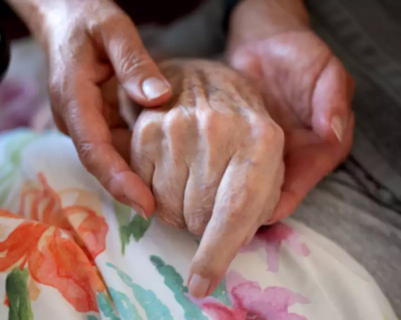 Intimate Portraits of Life's Final Chapter: Confronting Death with Compassion