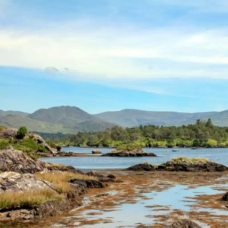 Ireland's Hidden Gem: The Beara Peninsula's Untouched Beauty
