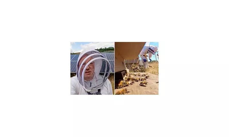 Isle of Wight Beekeeper, 55, Dies After Bee Sting on Ear Triggers Allergic Reaction