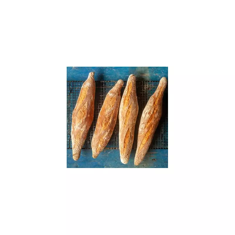 ITV Baker's 5-Ingredient Air Fryer Baguette: No Knead, Super Easy