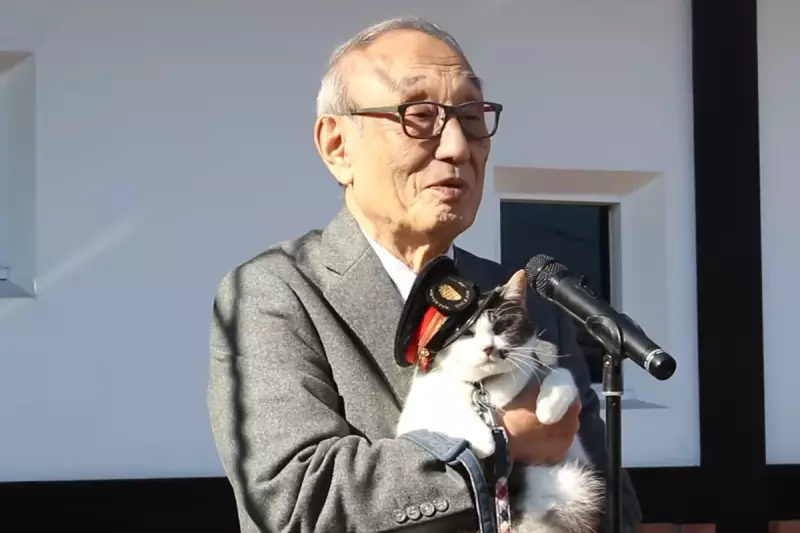 Japan's Kishi Station Appoints Third Cat Stationmaster, Yontama
