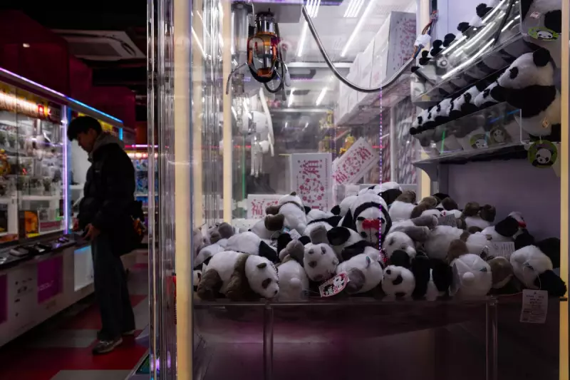 Japan's Last Pandas Depart for China Amid Diplomatic Tensions