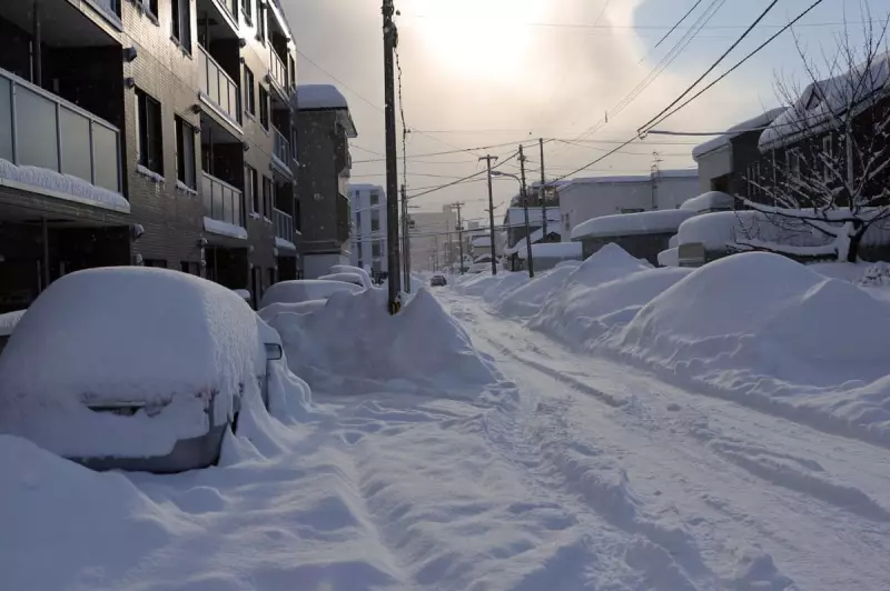 Japan's Snap Election Faces Winter Woes as Snow Threatens Voter Turnout
