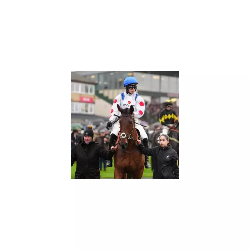 Kalif Du Berlais Dies: Paul Nicholls Pays Tribute to Sir Alex Ferguson's Star Horse