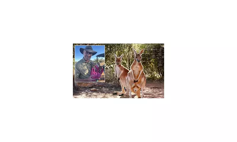 Kangaroo Film Boosts Alice Springs Tourism with Sanctuary Setting