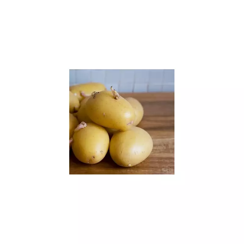 Keep Potatoes Fresh for 8 Weeks: The Simple Cardboard Box Trick