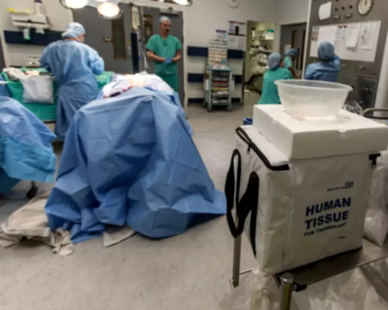 Kidney Donation Debate: Why Paying Donors Won't Solve the NHS Transplant Crisis